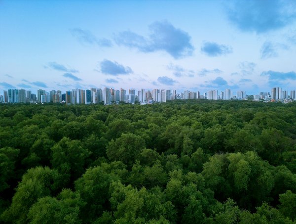 Les Effets Écologiques des Brocantes : Un Regard Détaillé
