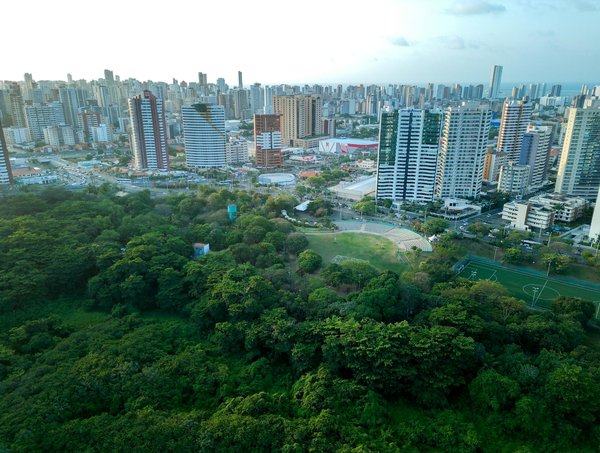 L'essor de la culture alternative à l'ère numérique: des blogs aux réseaux sociaux, une révolution en marche